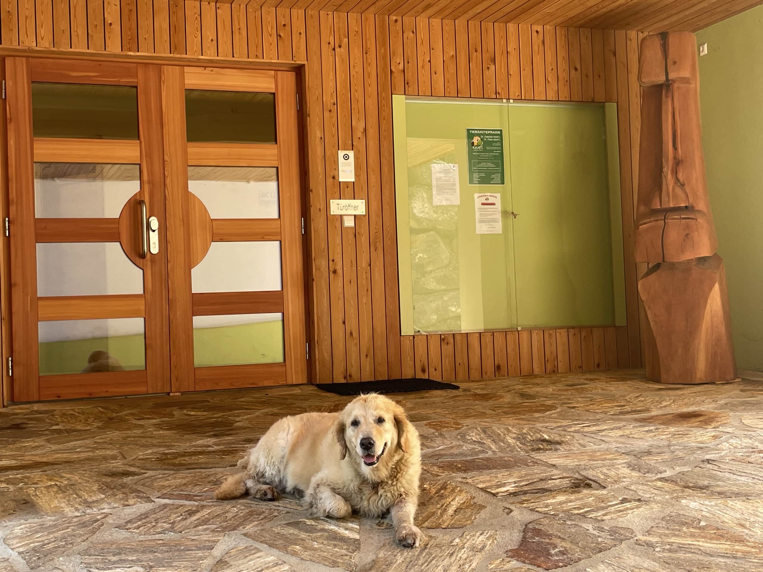 eingang mit hund.JPEG