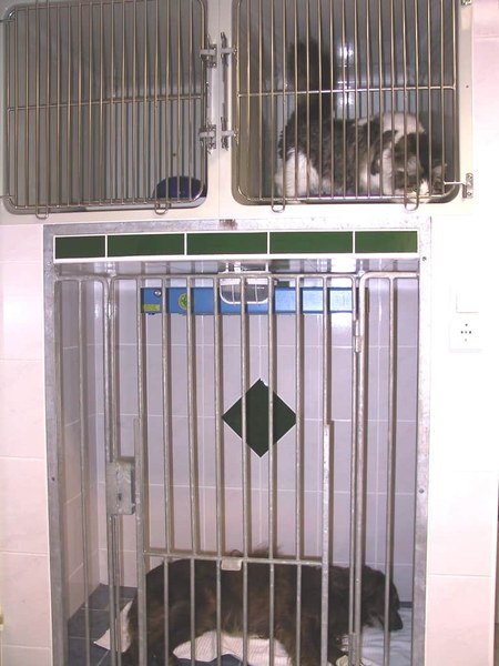 Einstellmöglichkeit