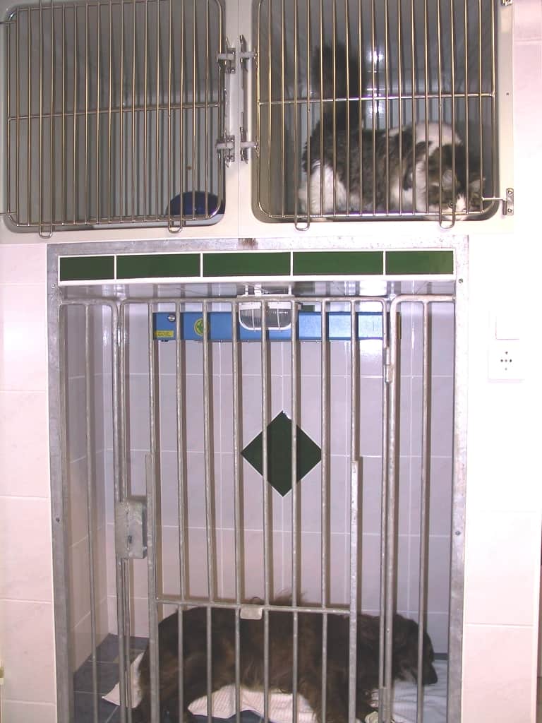 Einstellmöglichkeit