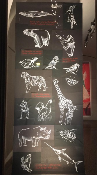 2020Marandjosef- Ragna 3.jpeg