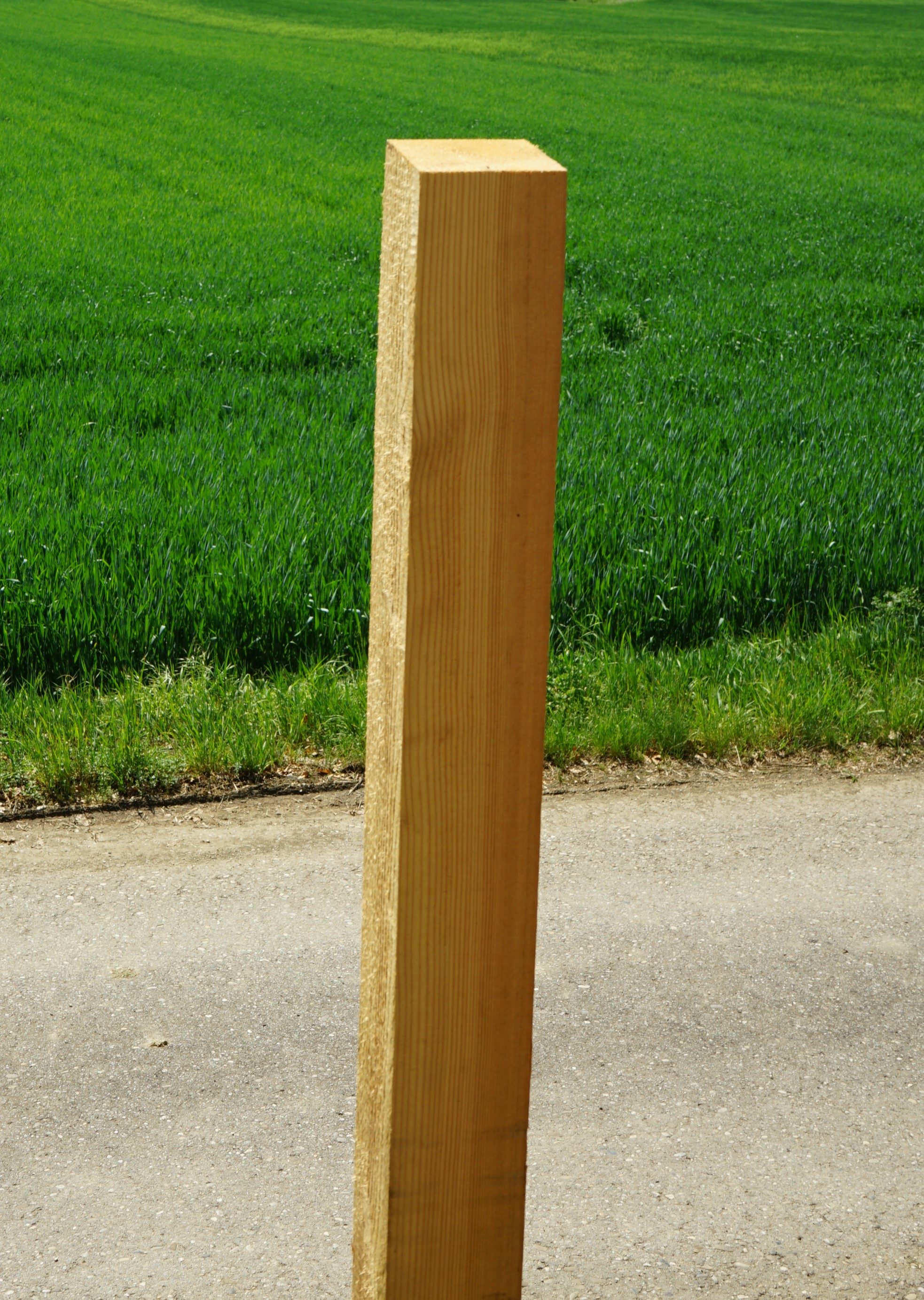 Holzsstele Mahnmal Roggendorf.jpg