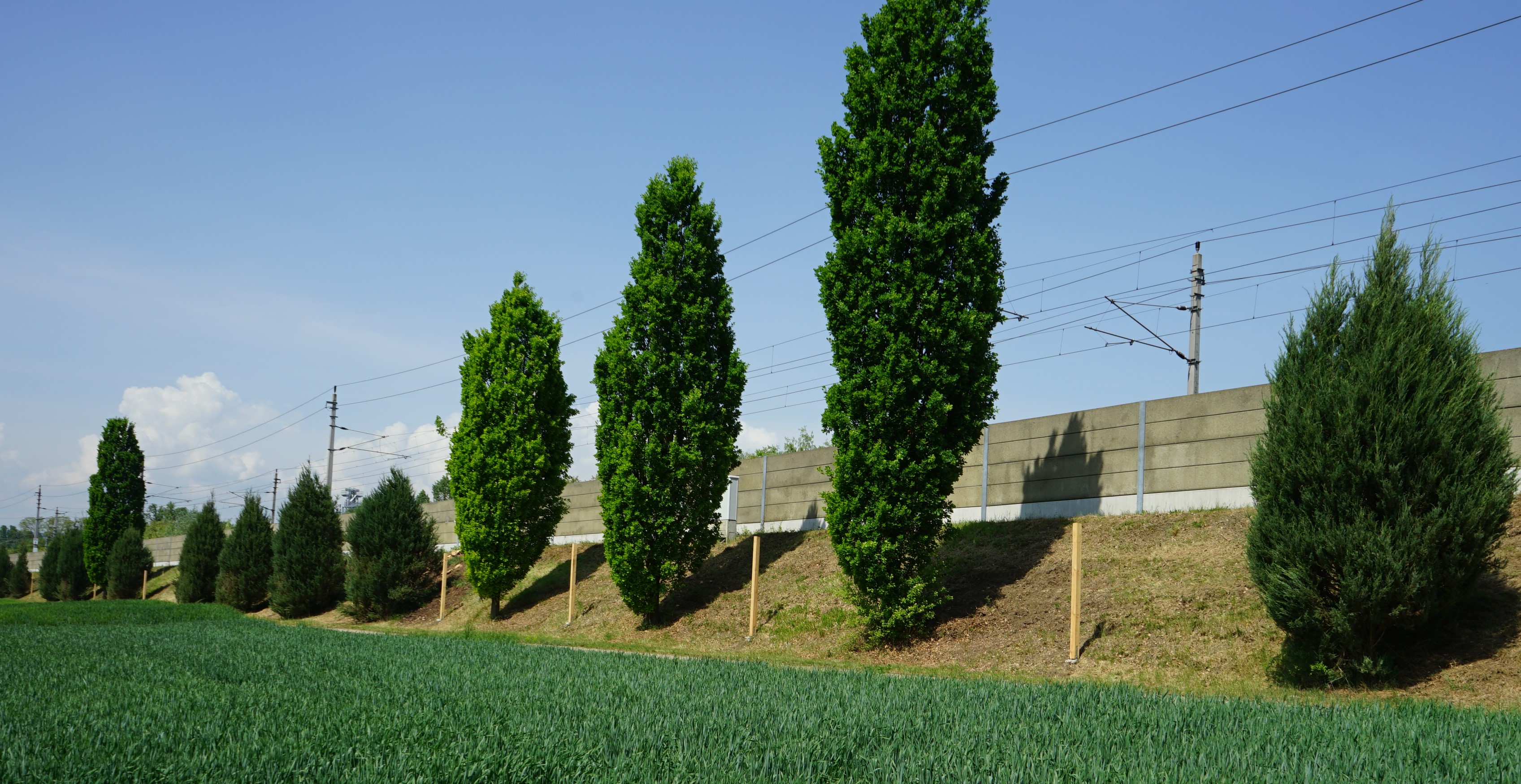 Mahnmal KZ-Haltepunkt Roggendorf.jpg