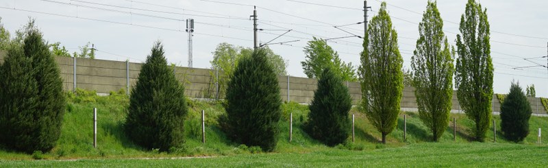Mahnmal Roggendorf Panorama seitlich.jpg
