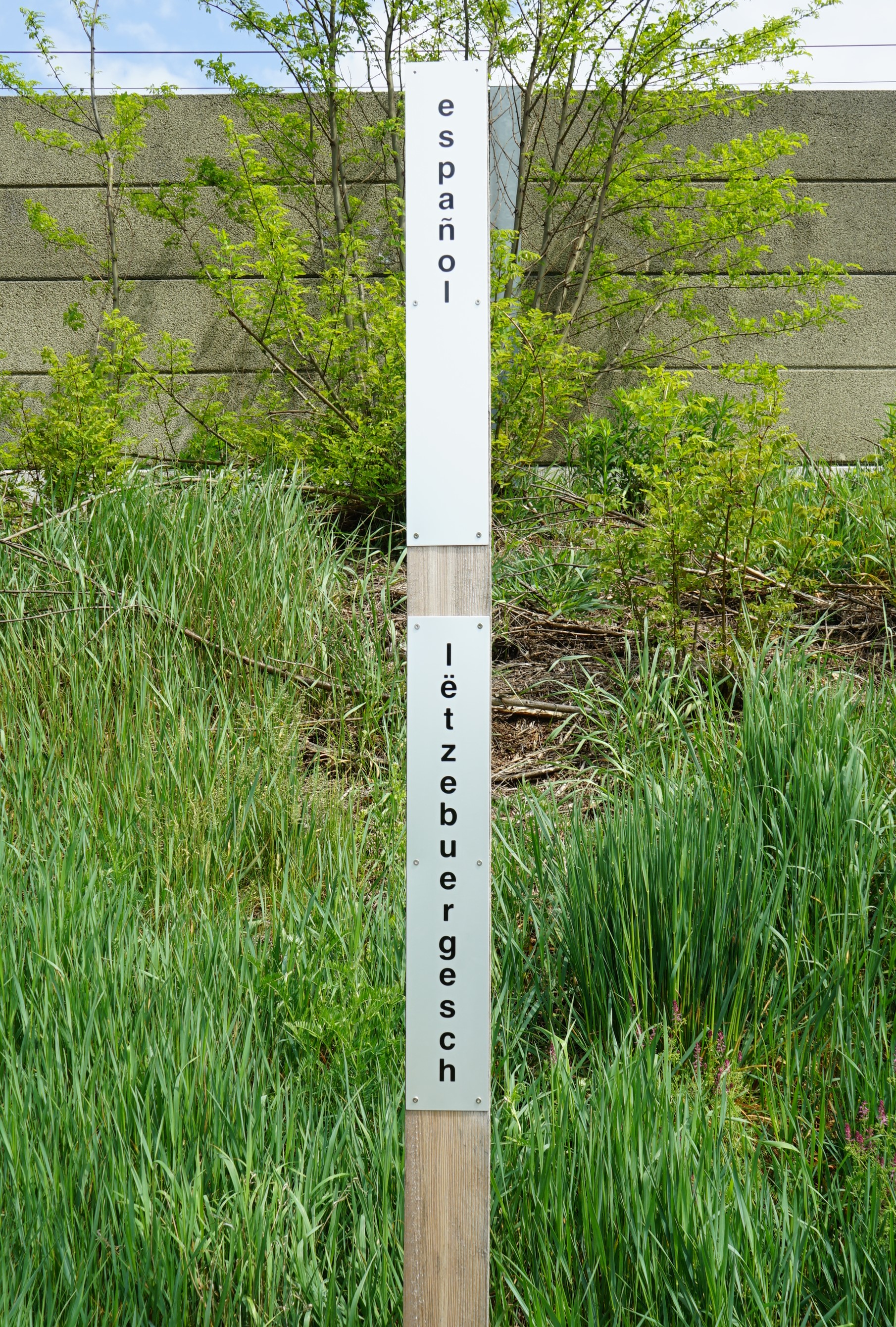 spanisch - luxemburgisch.jpg